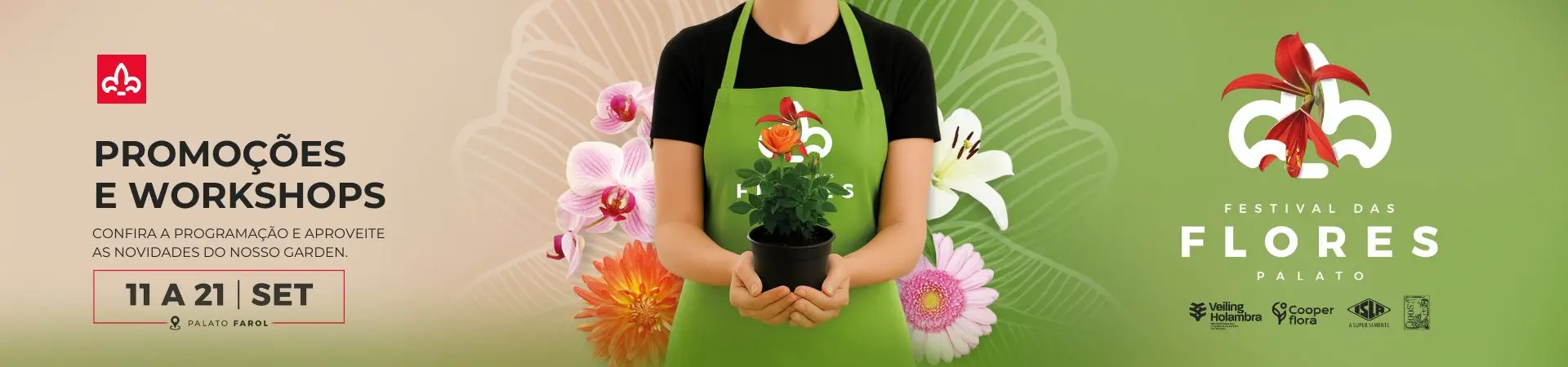Festival das Flores