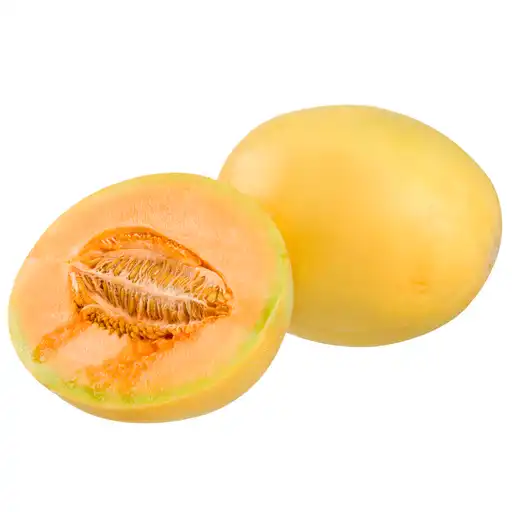 Melão Orange