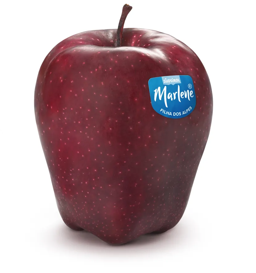 Maca Red Italiana Marlene Kg