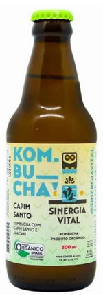 Kombucha Soucura de capim santo e gengibre 300ml