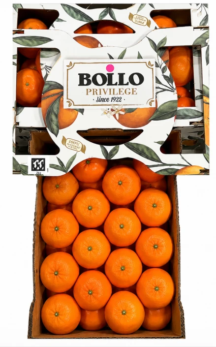 Tangerina Importada Bollo 2 Kg