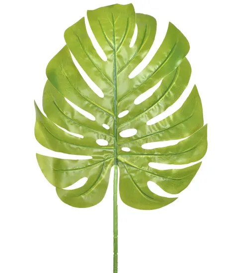 Galho Folha Costela De Adao Verde Oliva 90Cm