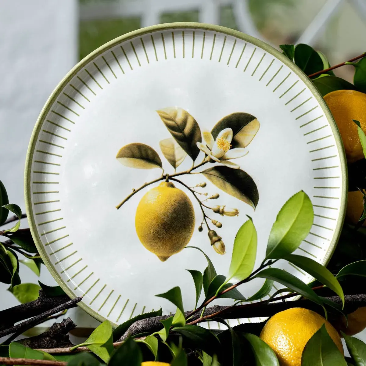 Prato Raso Porto Brasil Bio 27,5cm Lemon