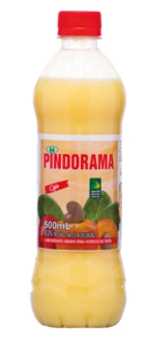 Suco Pindorama 500ml Caju
