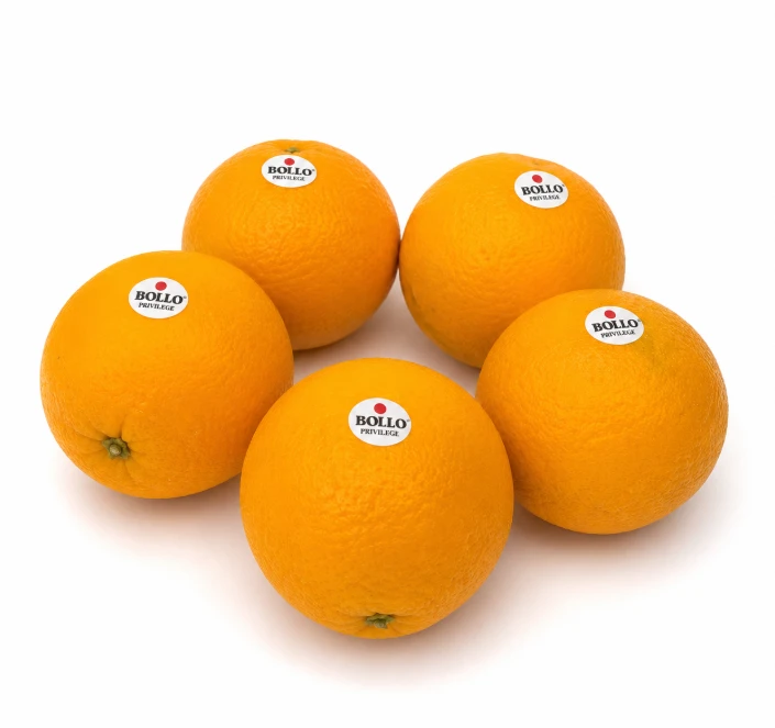 Tangerina Importada Bollo Kg