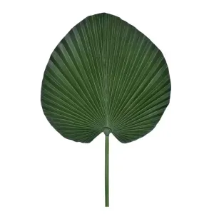 Galho Folha Leque Verde Oliva 85Cm