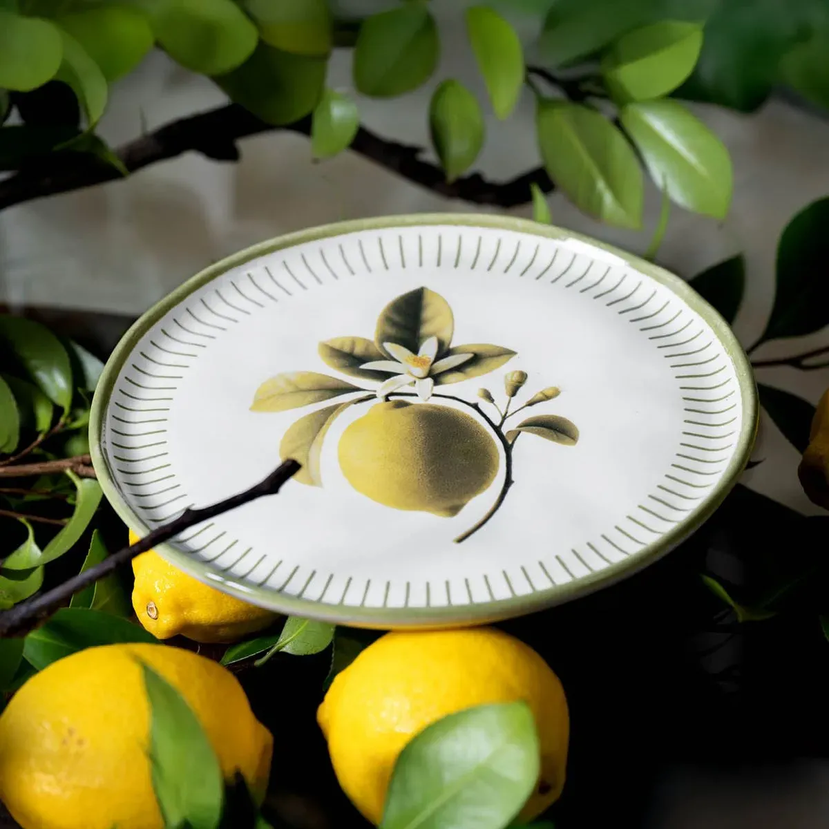 Prato Sobreme Porto Brasil Bio 21,5cm Lemon