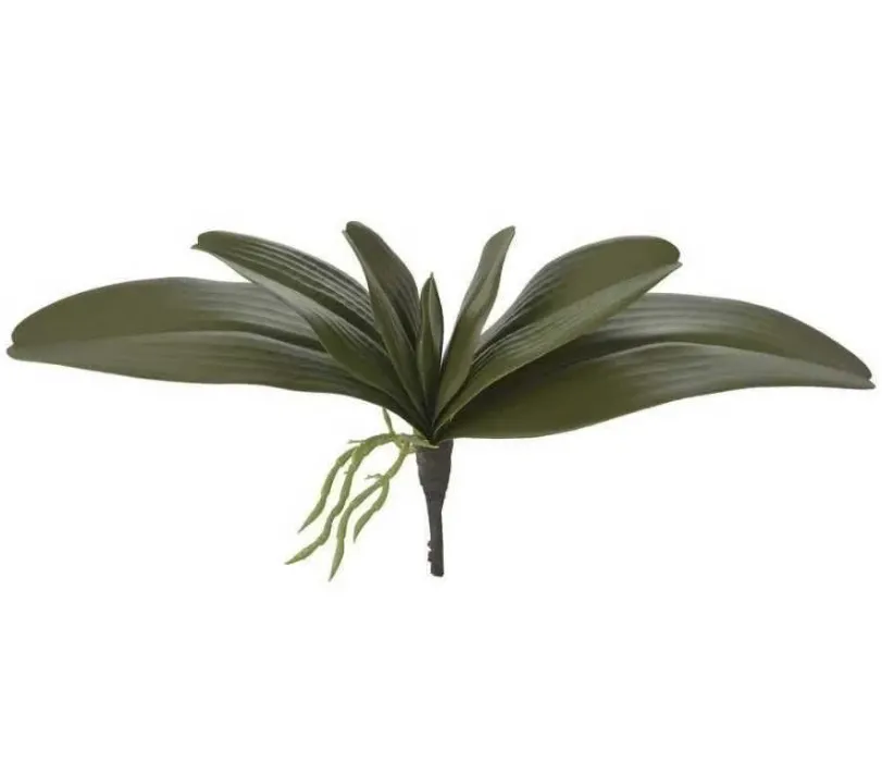 Folha Orquidea Dea Phalaenopsis C Arame X7 Verde 30Cm