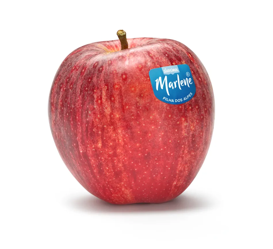 Maca Gala Italiana Marlene Kg