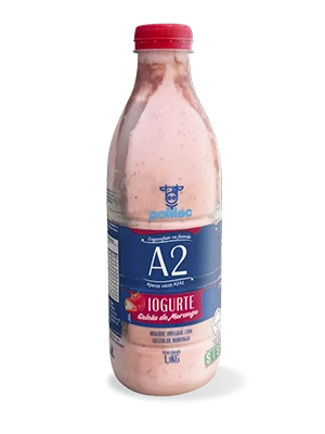 Iorgute Polilac 1,1kg Geleia De Morango