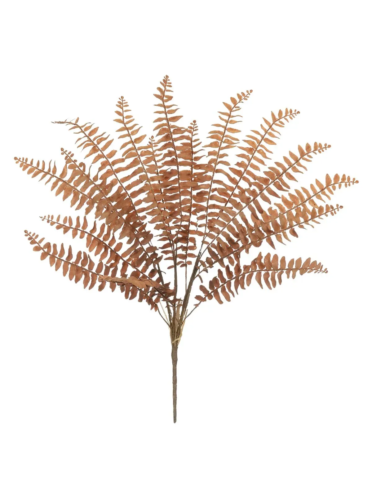 Folhagem Samambaia Florarte Marrom 70cm