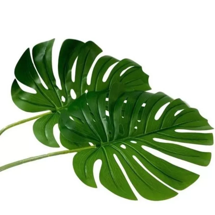 Galho Folha Costela De Adao Verde Oliva 1,16M