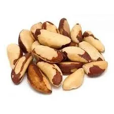 Castanha Do Para s Casc Grauda Palato