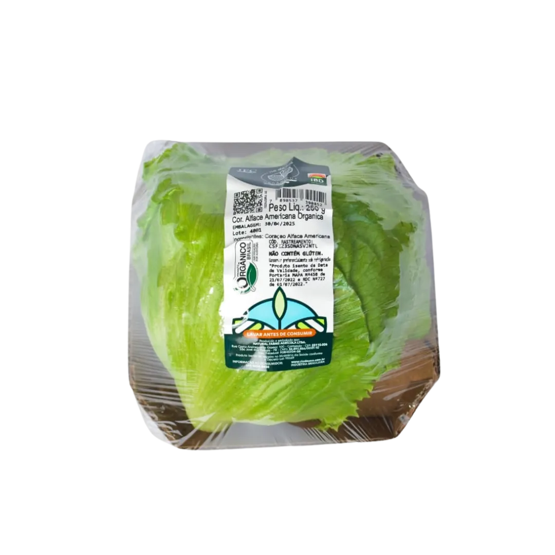 Alface Americana Rio De Una 250g Organico